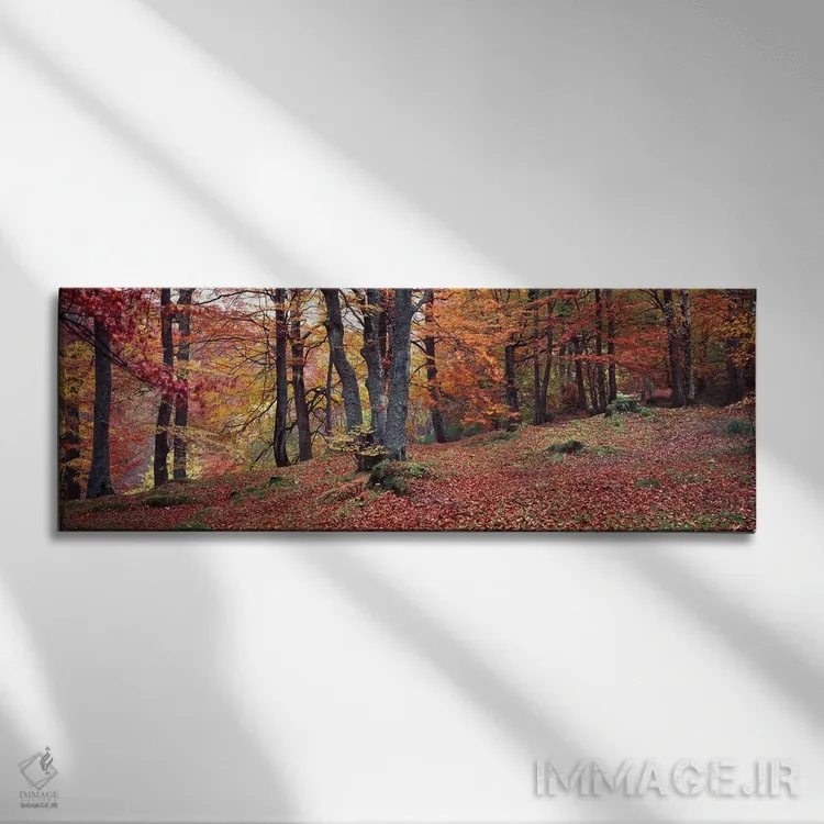 تابلو دکوراتیو درختان بلوط در پاییز، آبرفلدی، پرت و کینروس، اسکاتلند اثر پانورامیک ایمجز - نمای روبهرو روی دیوار