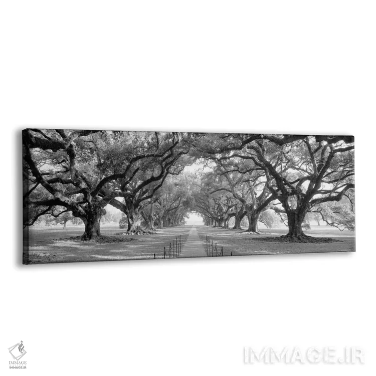 تابلو دکوراتیو مسیر آجری از میان کوچه ای پر از درختان بلوط، لوئیزیانا… اثر پانورامیک ایمجز - نمای پرسپکتیو محصول