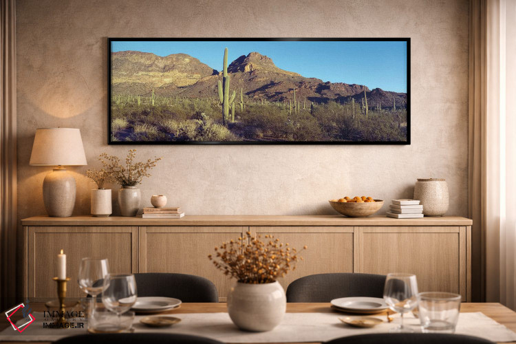 تابلو دکوراتیو Organ Pipe Cactus National Park, Arizona, USA,کاکتوس در… اثر پانورامیک ایمجز - D2B