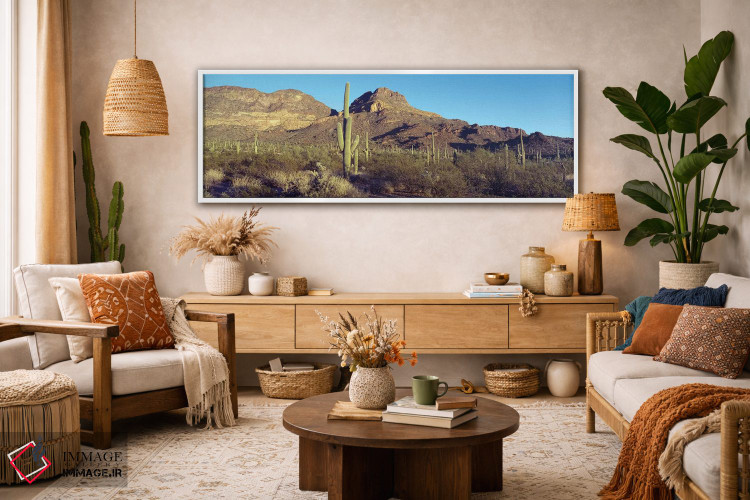 تابلو دکوراتیو Organ Pipe Cactus National Park, Arizona, USA,کاکتوس در… اثر پانورامیک ایمجز - D3W