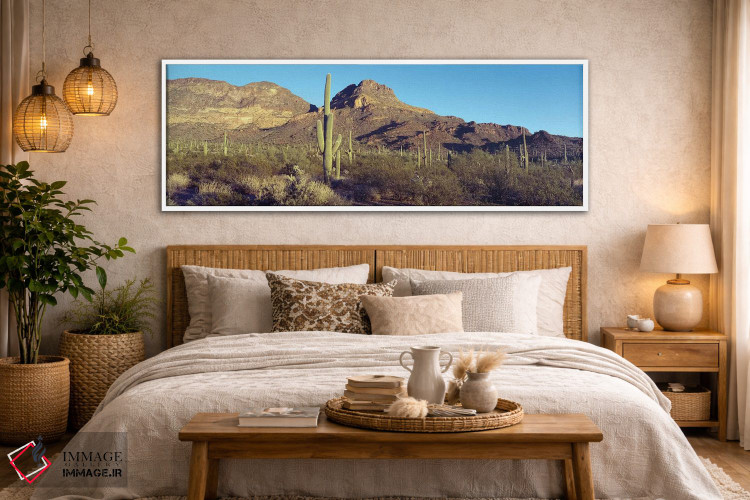 تابلو دکوراتیو Organ Pipe Cactus National Park, Arizona, USA,کاکتوس در… اثر پانورامیک ایمجز - D4W