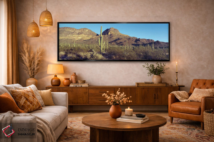 تابلو دکوراتیو Organ Pipe Cactus National Park, Arizona, USA,کاکتوس در… اثر پانورامیک ایمجز - D5B