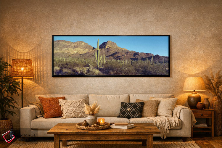 تابلو دکوراتیو Organ Pipe Cactus National Park, Arizona, USA,کاکتوس در… اثر پانورامیک ایمجز - D6B