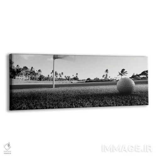 تابلو دکوراتیو "نمای نزدیک توپ گلف و سوراخ آن، هاوایی، ایالات متحده " اثر پانورامیک ایمجز - نمای پرسپکتیو محصول