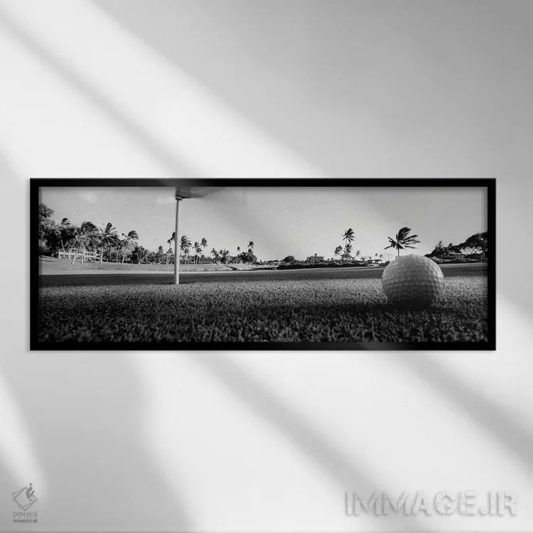 تابلو دکوراتیو "نمای نزدیک توپ گلف و سوراخ آن، هاوایی، ایالات متحده " اثر پانورامیک ایمجز - نمای قابدار مشکی