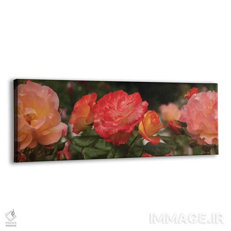 تابلو دکوراتیو "نمای نزدیک گل های بگونیا و رز" اثر پانورامیک ایمجز - نمای پرسپکتیو محصول