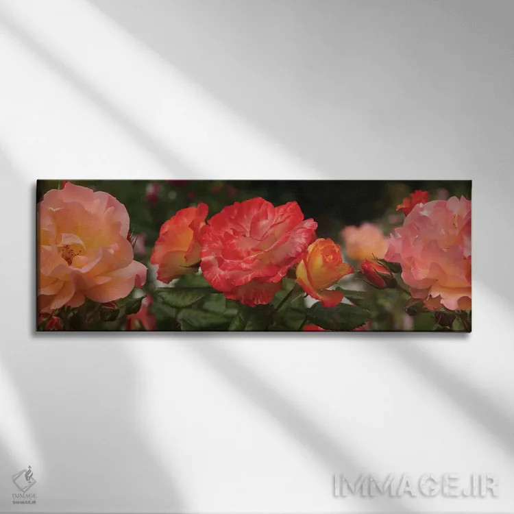 تابلو دکوراتیو "نمای نزدیک گل های بگونیا و رز" اثر پانورامیک ایمجز - نمای روبهرو روی دیوار