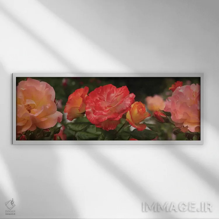 تابلو دکوراتیو "نمای نزدیک گل های بگونیا و رز" اثر پانورامیک ایمجز - نمای قابدار سفید