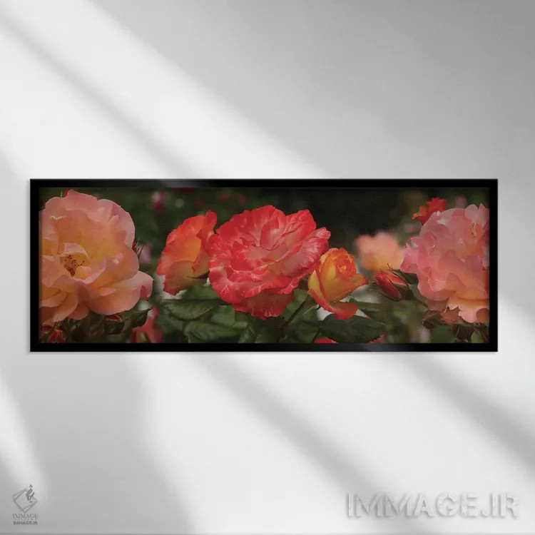 تابلو دکوراتیو "نمای نزدیک گل های بگونیا و رز" اثر پانورامیک ایمجز - نمای قابدار مشکی