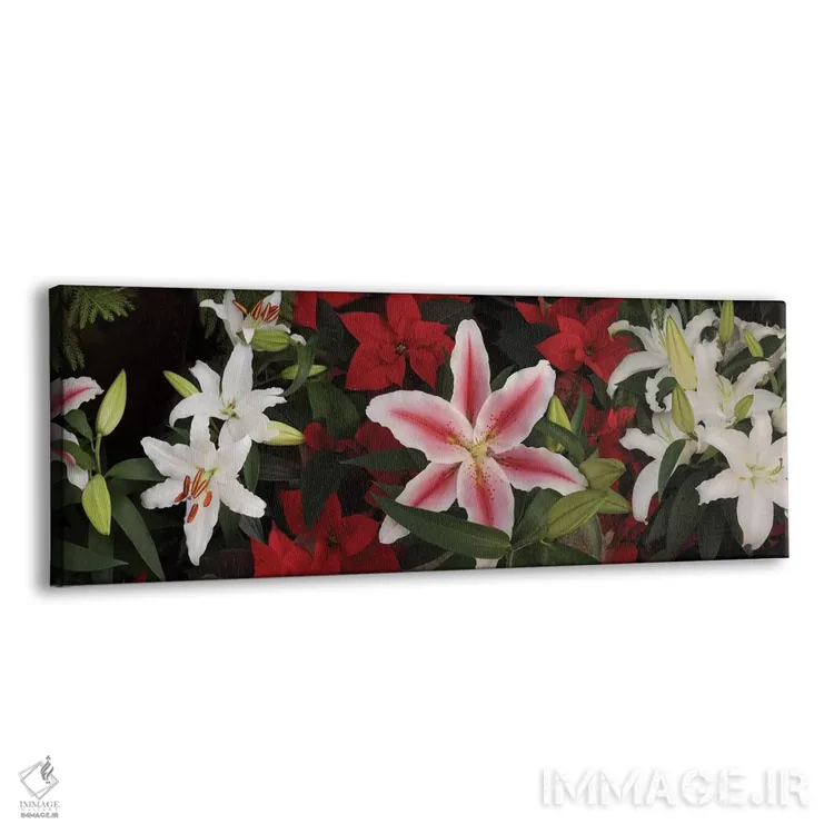 تابلو دکوراتیو "نمای نزدیک گل های ارکیده رنگارنگ II" اثر پانورامیک ایمجز - نمای پرسپکتیو محصول