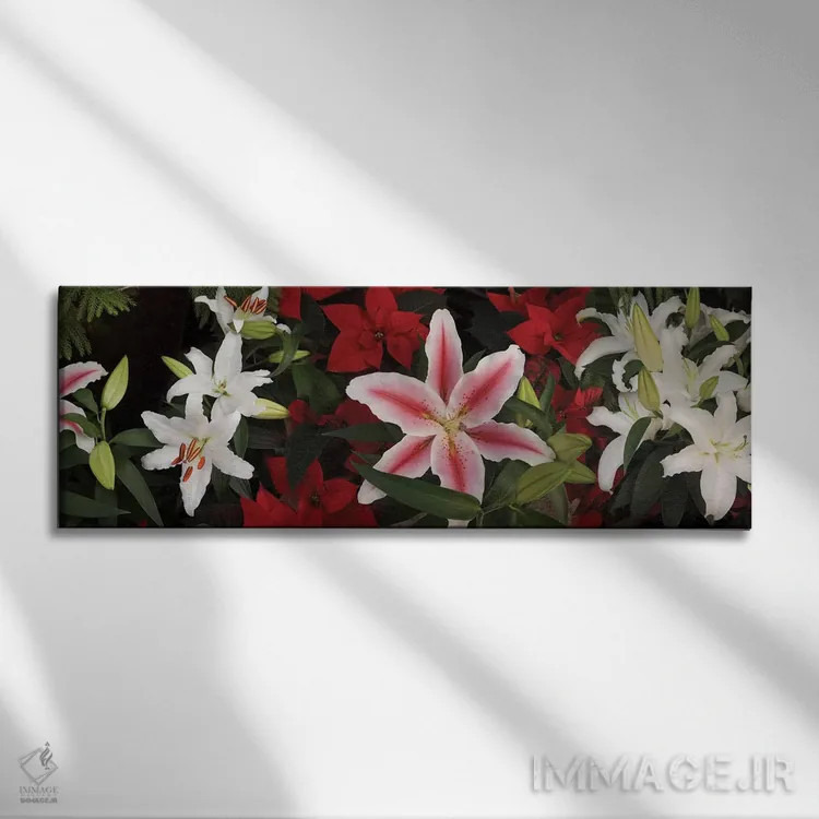 تابلو دکوراتیو "نمای نزدیک گل های ارکیده رنگارنگ II" اثر پانورامیک ایمجز - نمای روبهرو روی دیوار