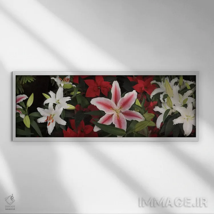 تابلو دکوراتیو "نمای نزدیک گل های ارکیده رنگارنگ II" اثر پانورامیک ایمجز - نمای قابدار سفید