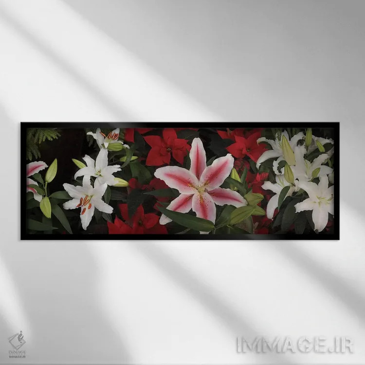 تابلو دکوراتیو "نمای نزدیک گل های ارکیده رنگارنگ II" اثر پانورامیک ایمجز - نمای قابدار مشکی