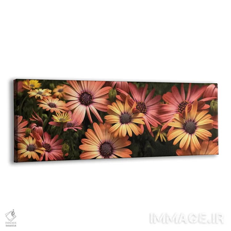تابلو دکوراتیو "نمای نزدیک گل های گل گندم در حال شکوفایی I" اثر پانورامیک ایمجز - نمای پرسپکتیو محصول