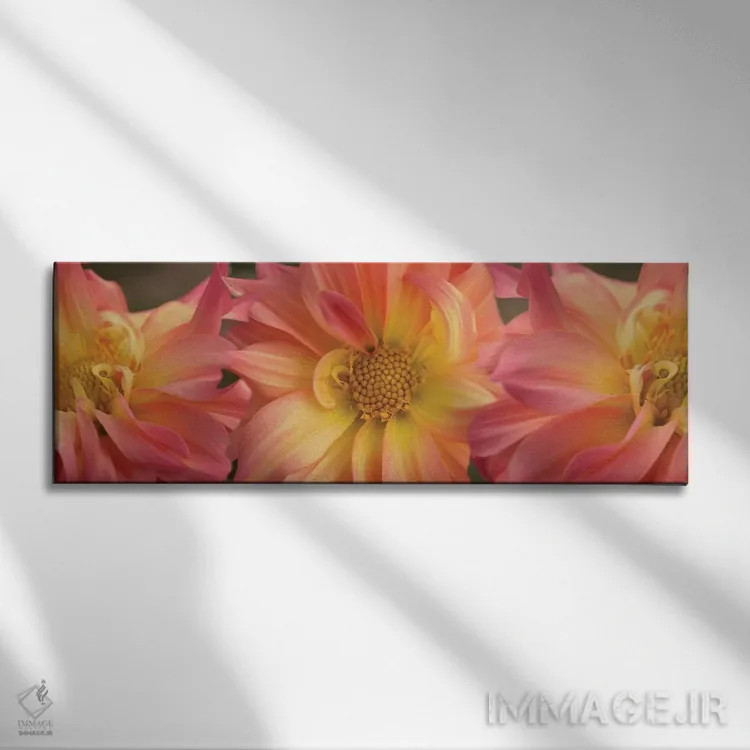 تابلو دکوراتیو "نمای نزدیک گل های داهلیا در حال شکوفایی روی گیاه VI" اثر پانورامیک ایمجز - نمای روبهرو روی دیوار