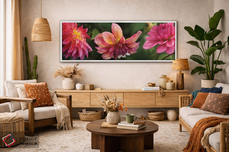 تابلو دکوراتیو "نمای نزدیک گل های داهلیا در حال شکوفایی روی گیاه I" اثر پانورامیک ایمجز - D3W