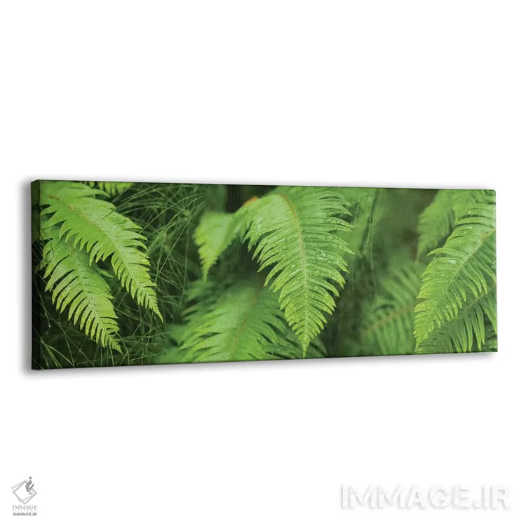 تابلو دکوراتیو "نمای نزدیک سرخس ها" اثر پانورامیک ایمجز - نمای پرسپکتیو محصول