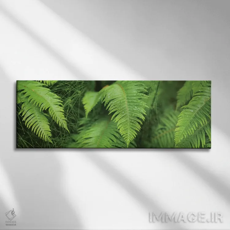 تابلو دکوراتیو "نمای نزدیک سرخس ها" اثر پانورامیک ایمجز - نمای روبهرو روی دیوار