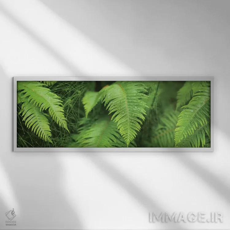 تابلو دکوراتیو "نمای نزدیک سرخس ها" اثر پانورامیک ایمجز - نمای قابدار سفید