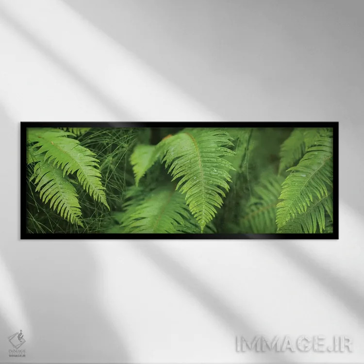 تابلو دکوراتیو "نمای نزدیک سرخس ها" اثر پانورامیک ایمجز - نمای قابدار مشکی