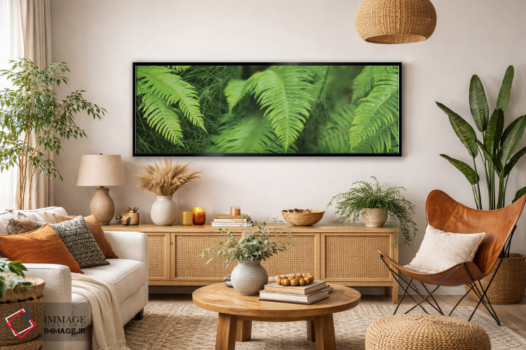 تابلو دکوراتیو "نمای نزدیک سرخس ها" اثر پانورامیک ایمجز - D4B