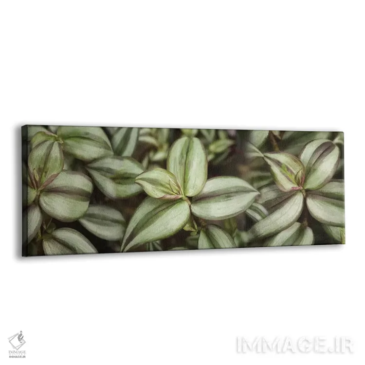 تابلو دکوراتیو "نمای نزدیک برگ های سبز II" اثر پانورامیک ایمجز - نمای پرسپکتیو محصول