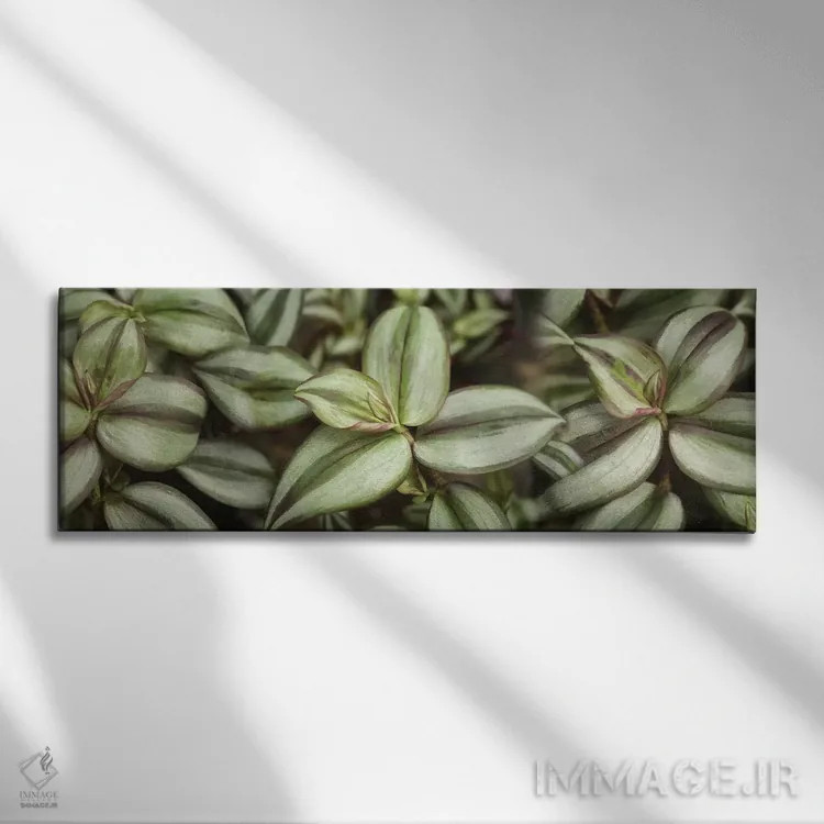 تابلو دکوراتیو "نمای نزدیک برگ های سبز II" اثر پانورامیک ایمجز - نمای روبهرو روی دیوار