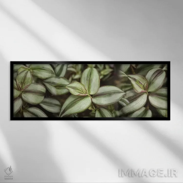 تابلو دکوراتیو "نمای نزدیک برگ های سبز II" اثر پانورامیک ایمجز - نمای قابدار مشکی