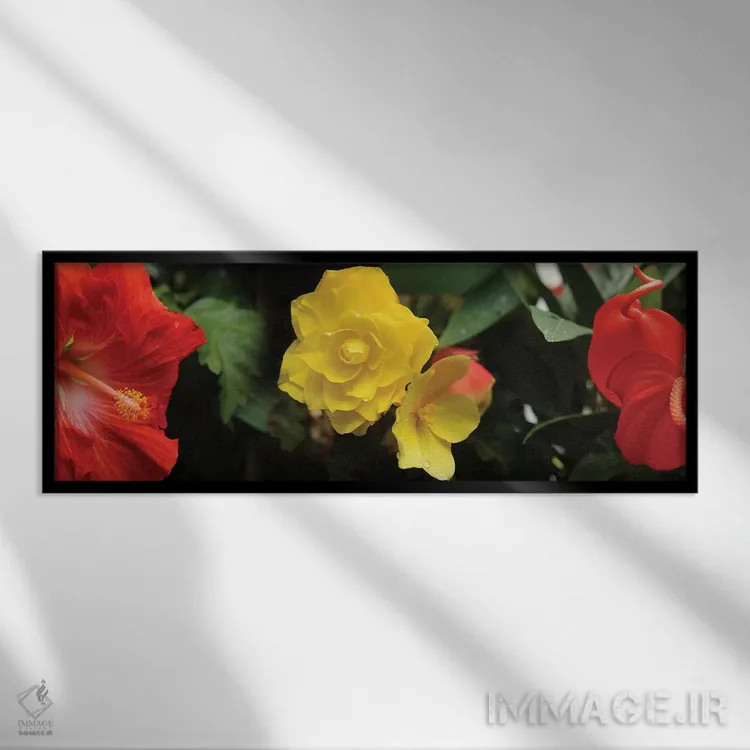 تابلو دکوراتیو "نمای نزدیک گل های هیبیسکوس، رز و آنتوریوم" اثر پانورامیک ایمجز - نمای قابدار مشکی