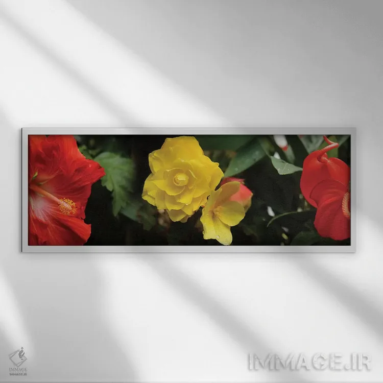 تابلو دکوراتیو "نمای نزدیک گل های هیبیسکوس، رز و آنتوریوم" اثر پانورامیک ایمجز - نمای قابدار سفید