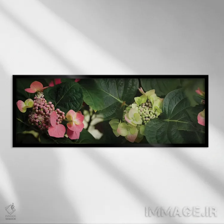تابلو دکوراتیو "نمای نزدیک گل های هیدرانژیا" اثر پانورامیک ایمجز - نمای قابدار مشکی