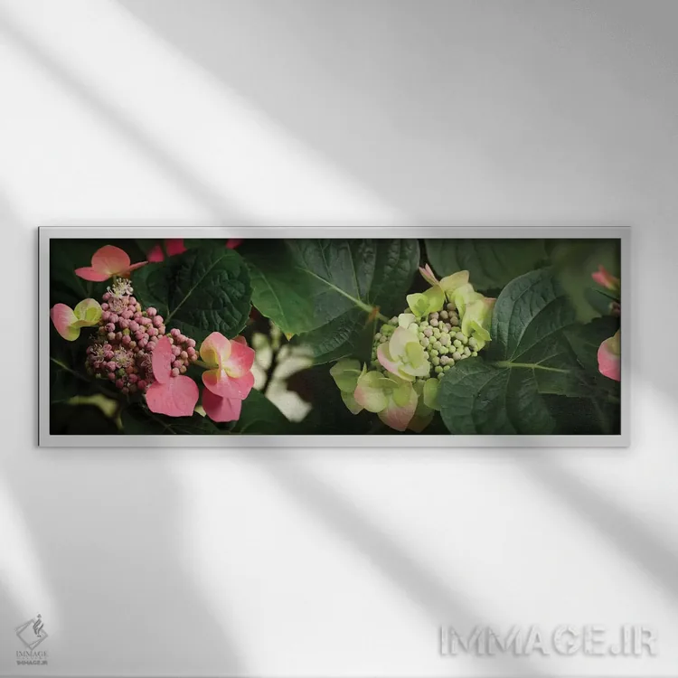 تابلو دکوراتیو "نمای نزدیک گل های هیدرانژیا" اثر پانورامیک ایمجز - نمای قابدار سفید