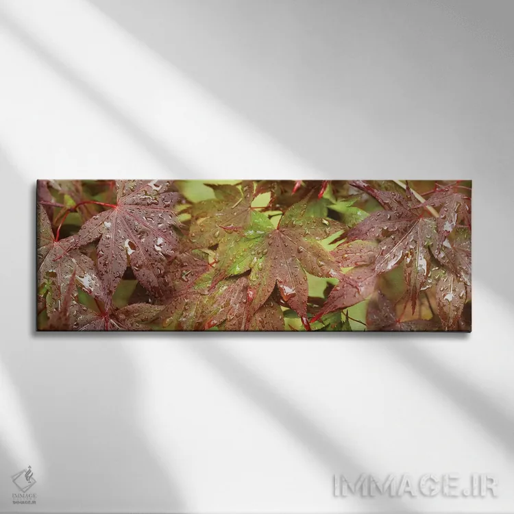 تابلو دکوراتیو "نمای نزدیک برگ های افرا ژاپنی I" اثر پانورامیک ایمجز - نمای روبهرو روی دیوار