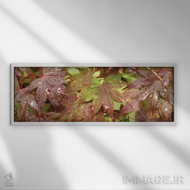 تابلو دکوراتیو "نمای نزدیک برگ های افرا ژاپنی I" اثر پانورامیک ایمجز - نمای قابدار سفید