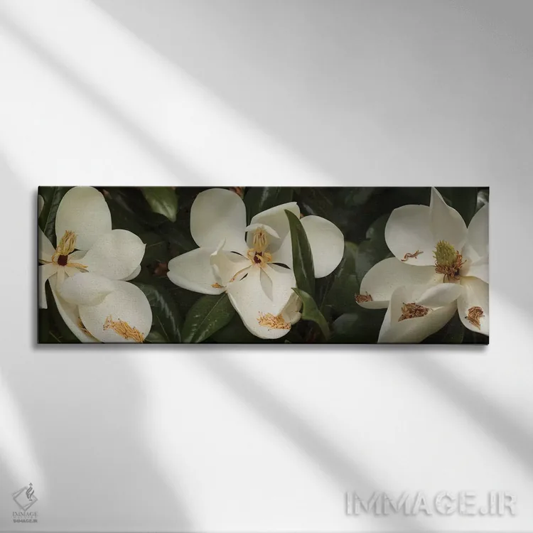 تابلو دکوراتیو گل های شکفته مگنولیا نزدیک III اثر پانورامیک ایمجز - نمای روبهرو روی دیوار