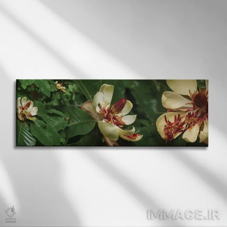 تابلو دکوراتیو گل های شکفته مگنولیا نزدیک I اثر پانورامیک ایمجز - نمای روبهرو روی دیوار
