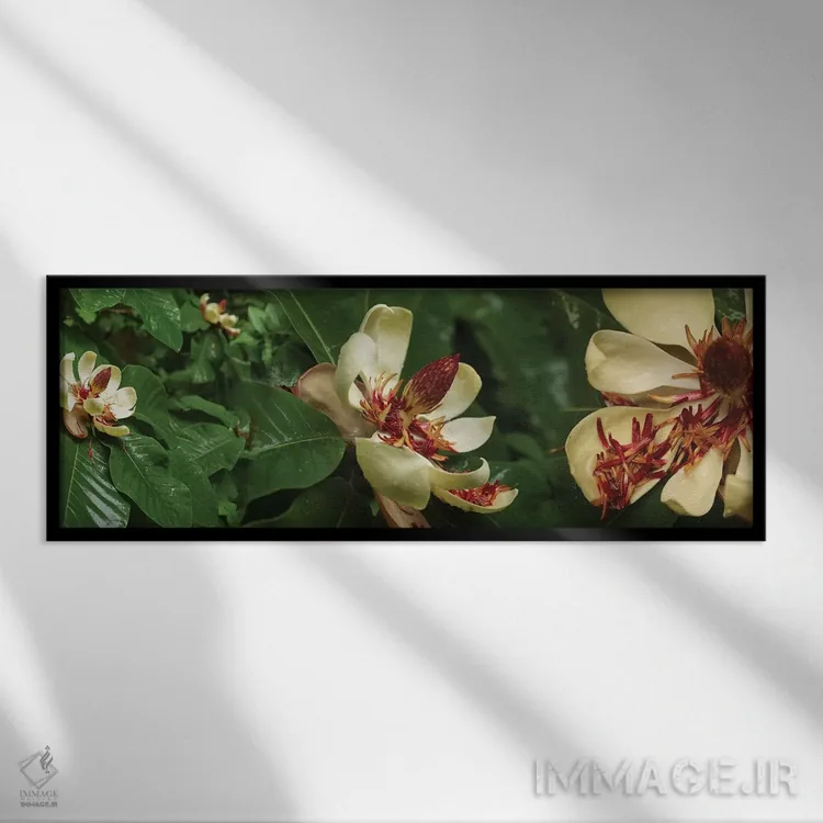 تابلو دکوراتیو گل های شکفته مگنولیا نزدیک I اثر پانورامیک ایمجز - نمای قابدار مشکی