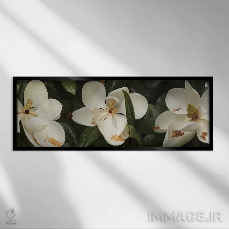 تابلو دکوراتیو گل های شکفته مگنولیا نزدیک III اثر پانورامیک ایمجز - نمای قابدار مشکی
