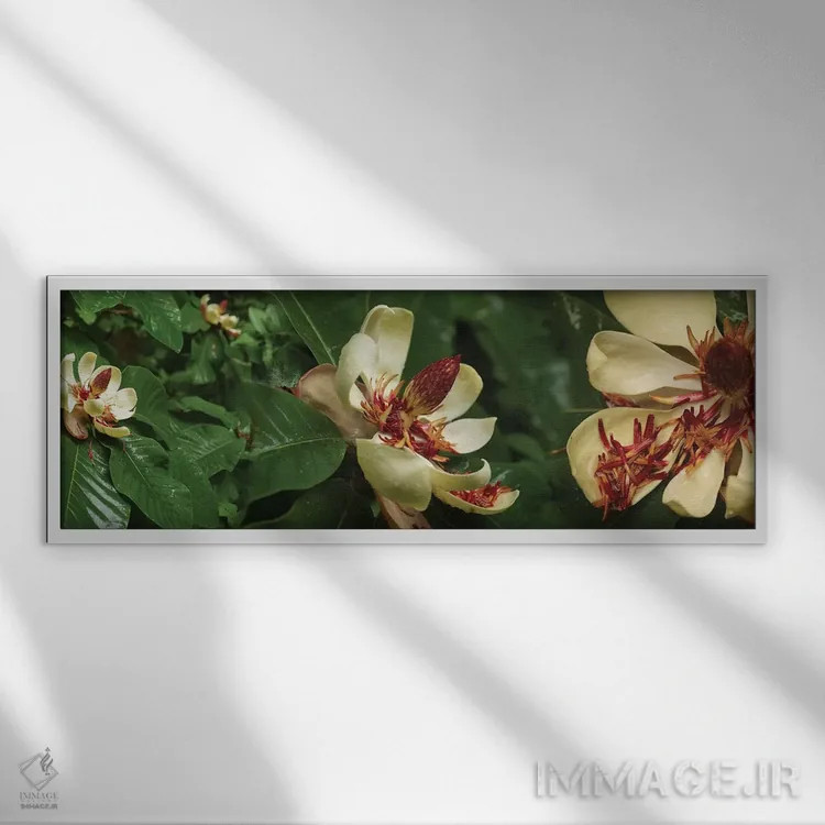 تابلو دکوراتیو گل های شکفته مگنولیا نزدیک I اثر پانورامیک ایمجز - نمای قابدار سفید