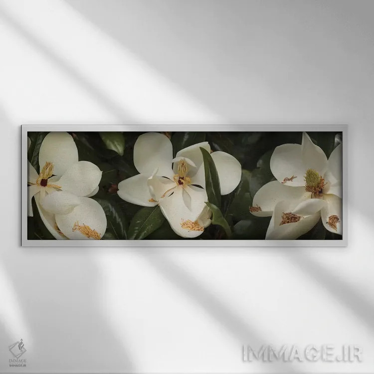 تابلو دکوراتیو گل های شکفته مگنولیا نزدیک III اثر پانورامیک ایمجز - نمای قابدار سفید