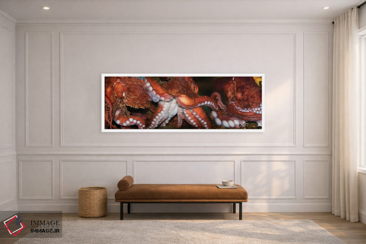 تابلو دکوراتیو اختاپوس نزدیک اثر پانورامیک ایمجز - D1W