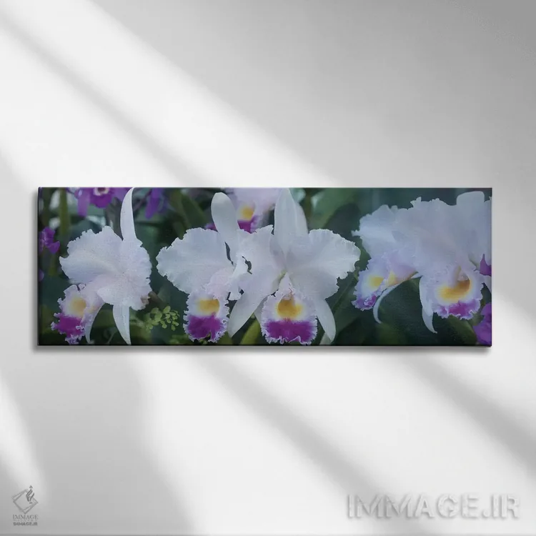تابلو دکوراتیو گل های ارکیده نزدیک I اثر پانورامیک ایمجز - نمای روبهرو روی دیوار