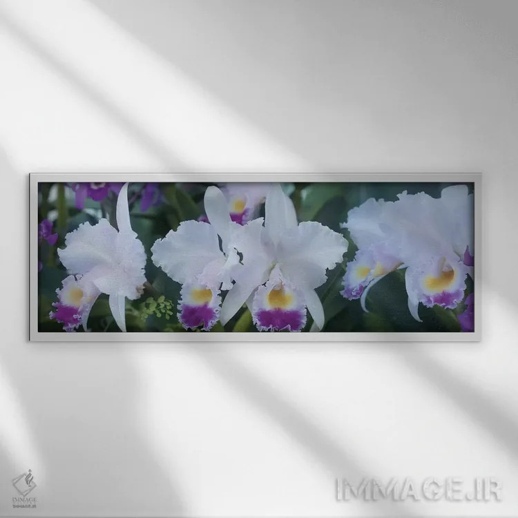تابلو دکوراتیو گل های ارکیده نزدیک I اثر پانورامیک ایمجز - نمای قابدار سفید