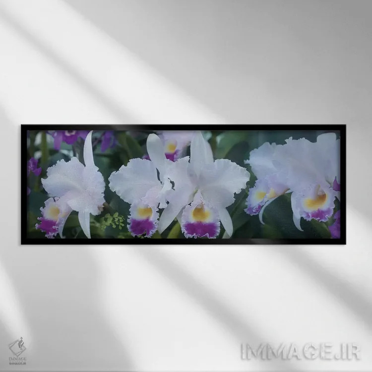 تابلو دکوراتیو گل های ارکیده نزدیک I اثر پانورامیک ایمجز - نمای قابدار مشکی