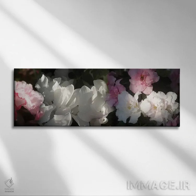 تابلو دکوراتیو گل های صورتی و سفید نزدیک اثر پانورامیک ایمجز - نمای روبهرو روی دیوار