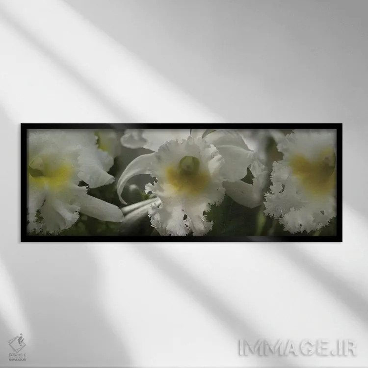 تابلو دکوراتیو گل های ارکیده نزدیک III اثر پانورامیک ایمجز - نمای قابدار مشکی