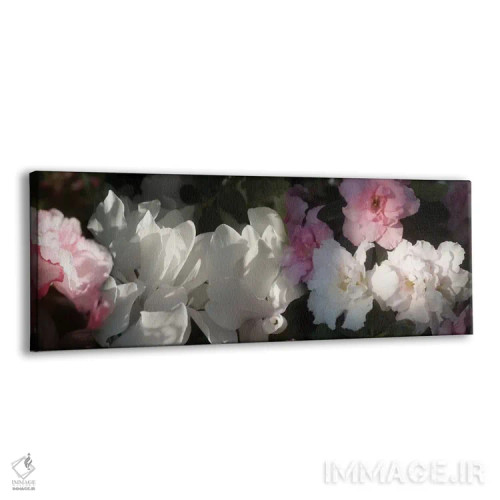 تابلو دکوراتیو گل های صورتی و سفید نزدیک اثر پانورامیک ایمجز - نمای پرسپکتیو محصول