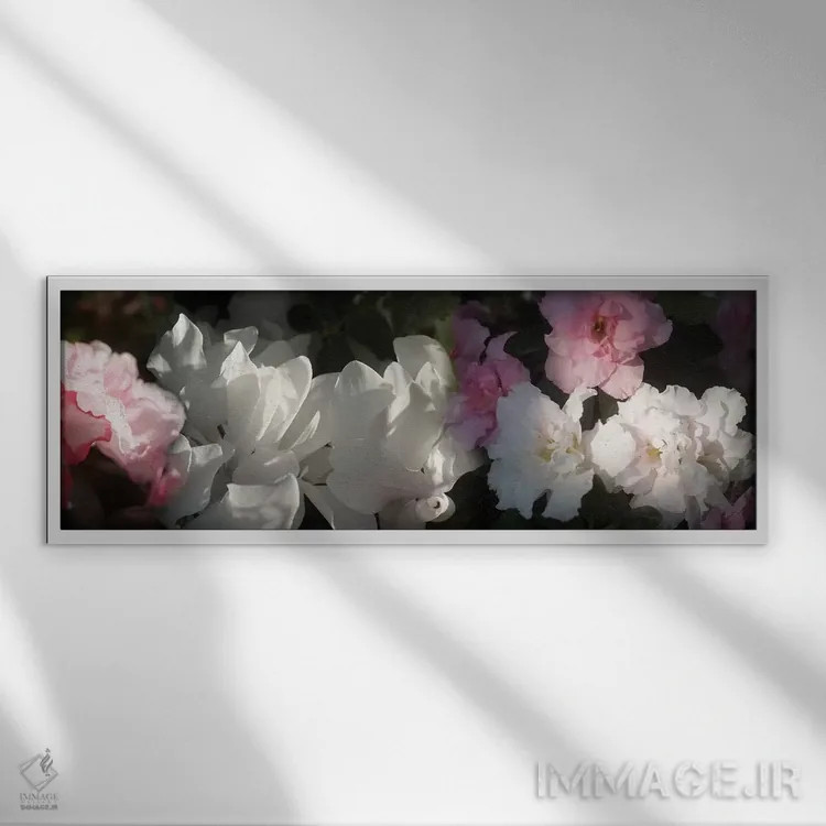 تابلو دکوراتیو گل های صورتی و سفید نزدیک اثر پانورامیک ایمجز - نمای قابدار سفید