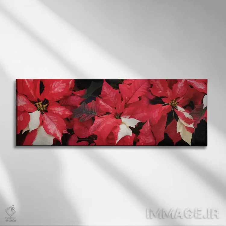 تابلو دکوراتیو گل های پوانستیا نزدیک II اثر پانورامیک ایمجز - نمای روبهرو روی دیوار