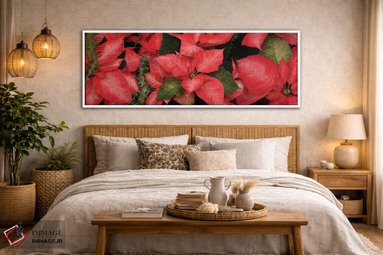 تابلو دکوراتیو گل های پوانستیا نزدیک I اثر پانورامیک ایمجز - D5W